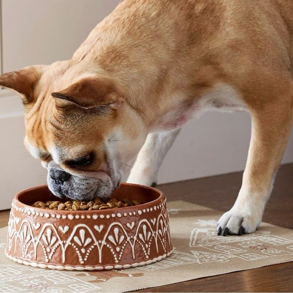 Pottery Barn Gingerbread Design Dog Bowl - Picture 2 of 7